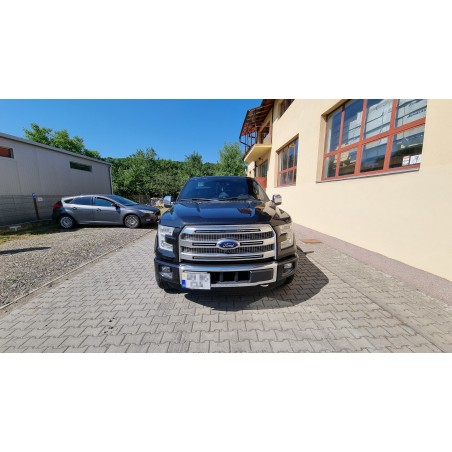 Ford F150 08 Iulie 2022