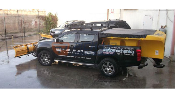 Prelata sararita MEY 64744