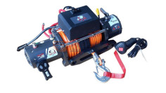 SEILWINDE ELECTRIC PS12000S CARP