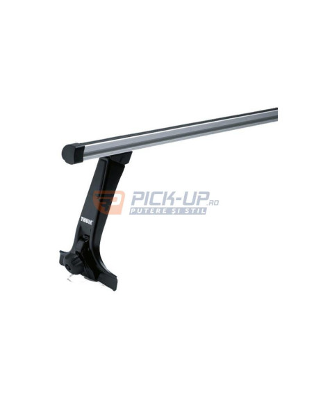 PICIOARE PRINDERE RAIN GUTTER HIGH THU