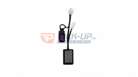 Telecomanda cu modul stroboscop BRL TELSTR