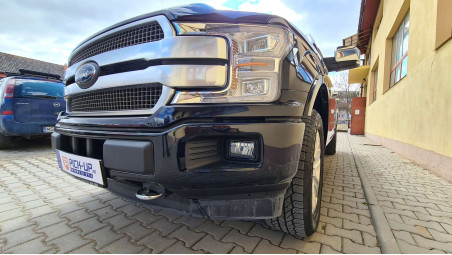 Ford F150 Platinum 24 Martie 2021